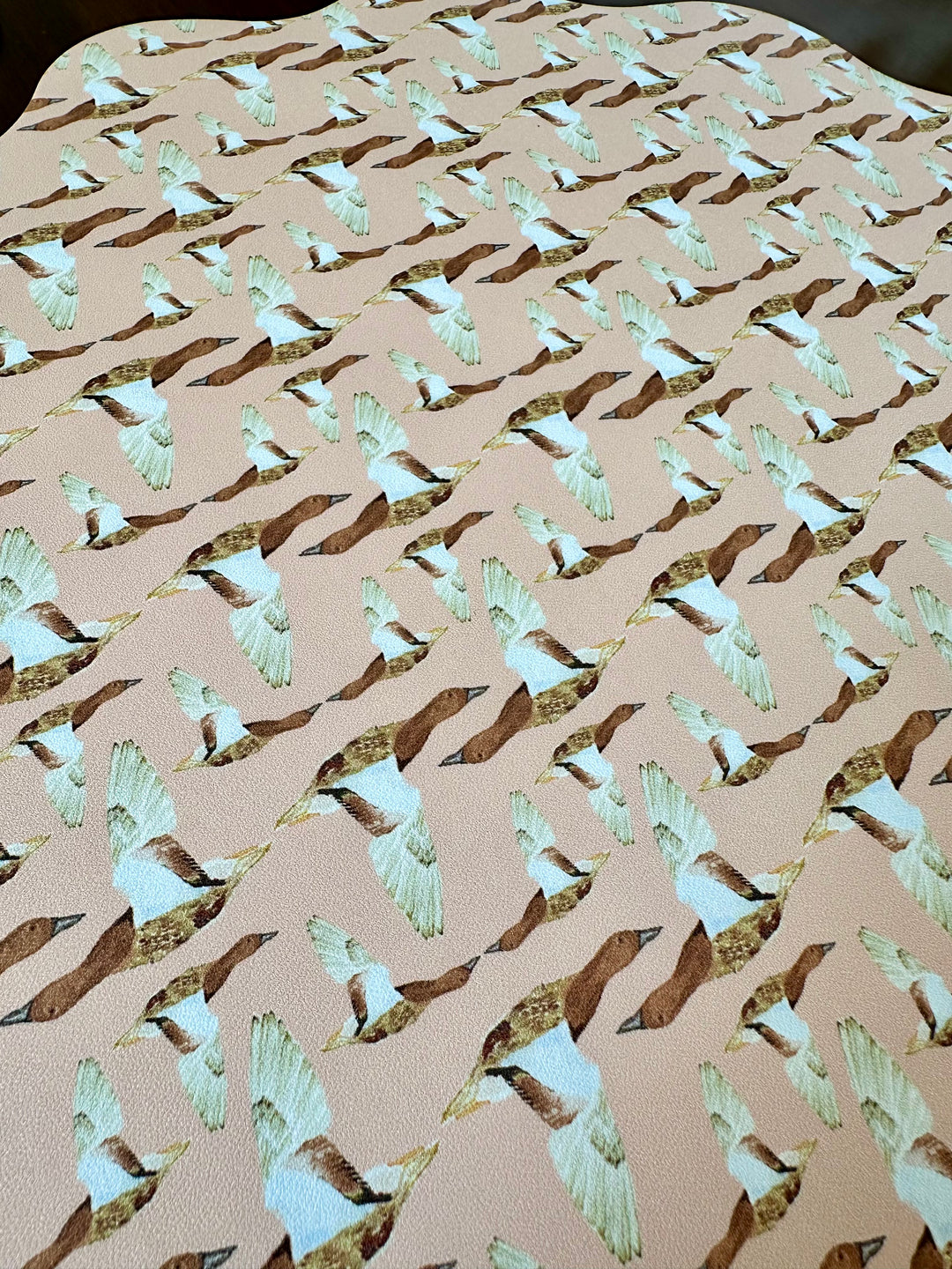Wipeable Reversible Placemat - Flight & Forage